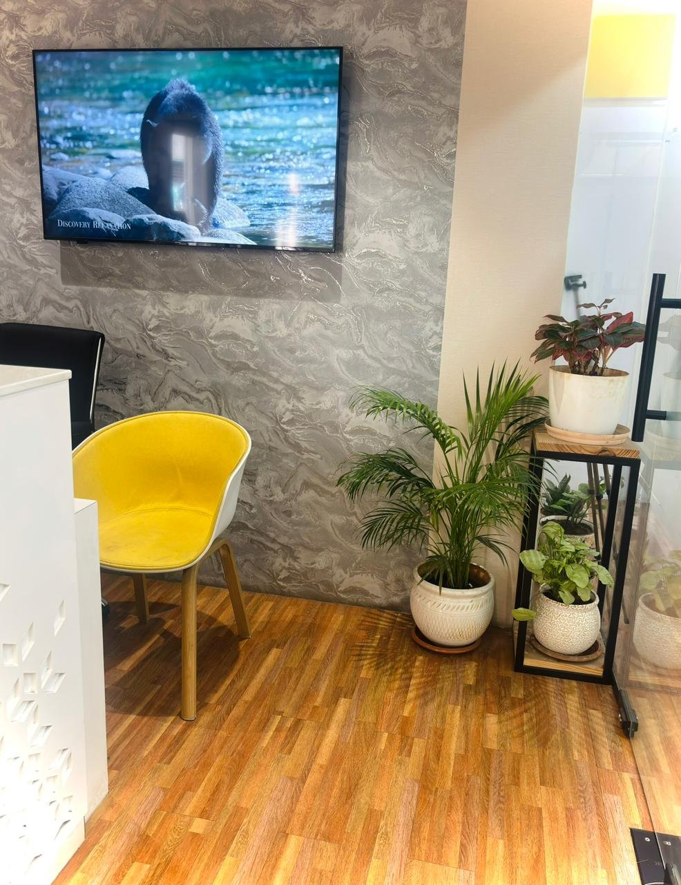 Clinic Gallery Image